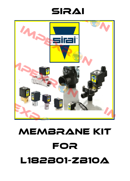Membrane kit for L182B01-ZB10A Sirai