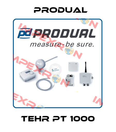 TEHR PT 1000 Produal
