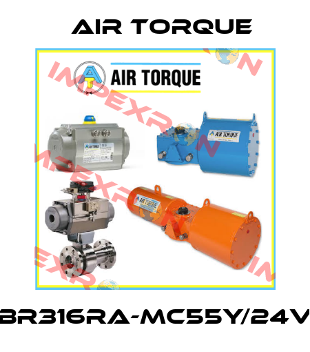 BR316RA-MC55Y/24V Air Torque