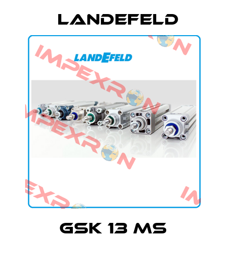 GSK 13 MS Landefeld