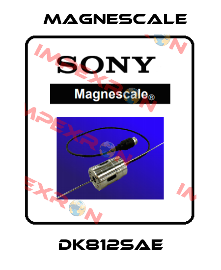 DK812SAE Magnescale