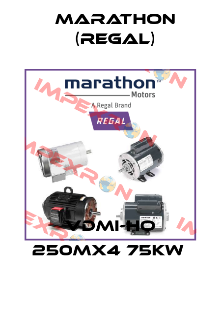 VDMI-HO 250MX4 75KW  Marathon (Regal)