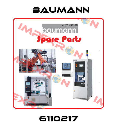 6110217 Baumann