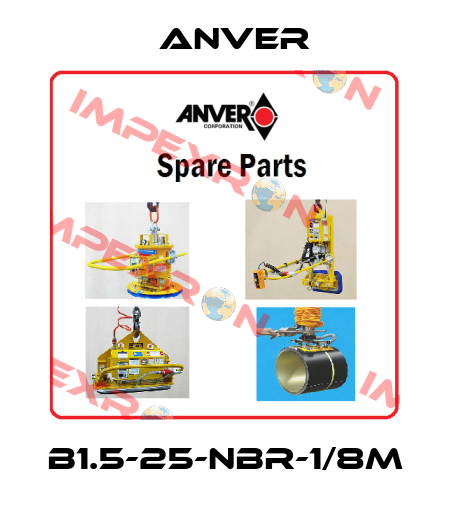 B1.5-25-NBR-1/8M Anver