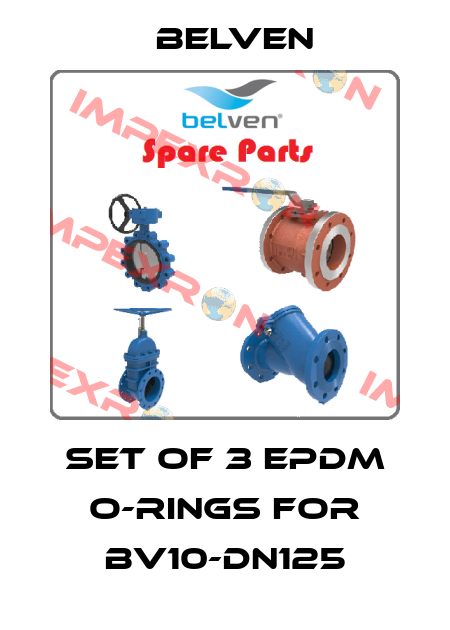 Set of 3 EPDM O-rings for BV10-DN125 Belven