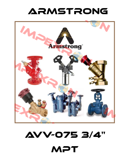 AVV-075 3/4" MPT Armstrong