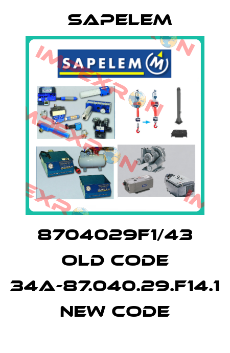 8704029F1/43 old code 34A-87.040.29.F14.1 new code Sapelem