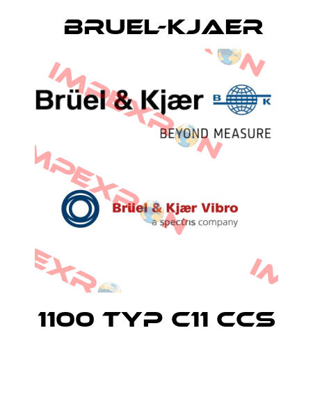 1100 Typ C11 CCS  Bruel-Kjaer