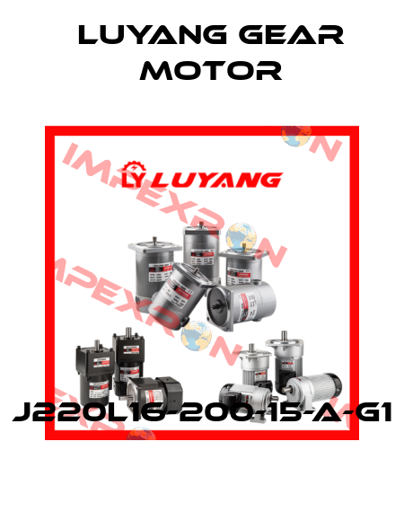 J220L16-200-15-A-G1 Luyang Gear Motor