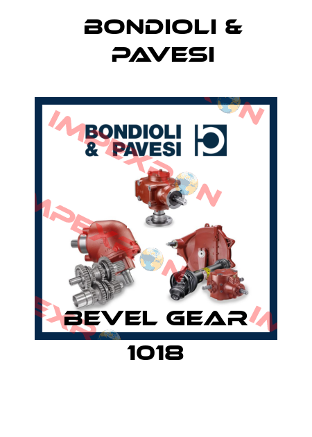 bevel gear 1018 Bondioli & Pavesi