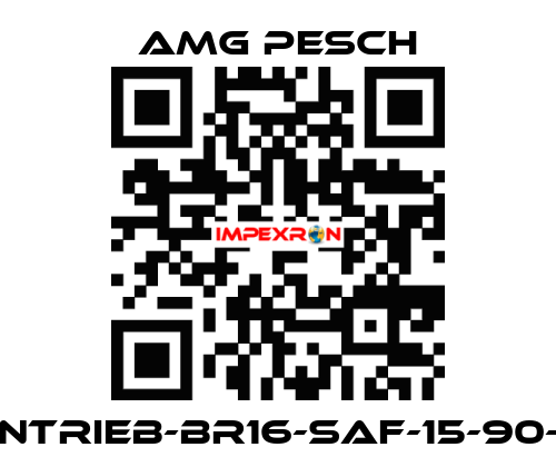 AMG-Antrieb-BR16-SAF-15-90-01-n=12 AMG Pesch