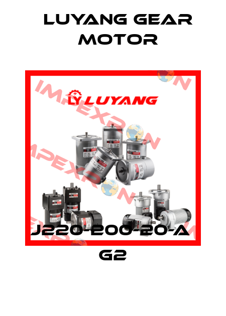 J220-200-20-A  G2 Luyang Gear Motor