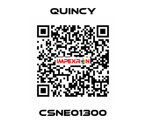 CSNE01300 Quincy