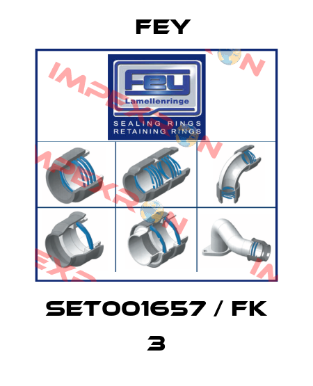 SET001657 / FK 3 Fey