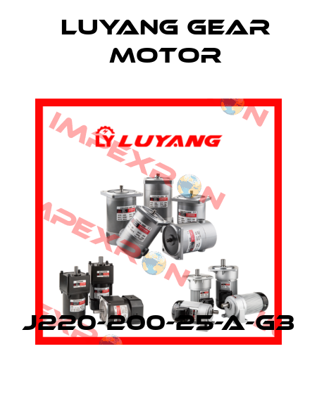 J220-200-25-A-G3 Luyang Gear Motor