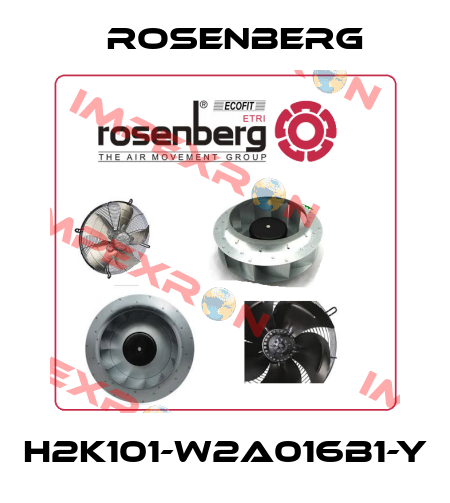 H2K101-W2A016B1-Y Rosenberg