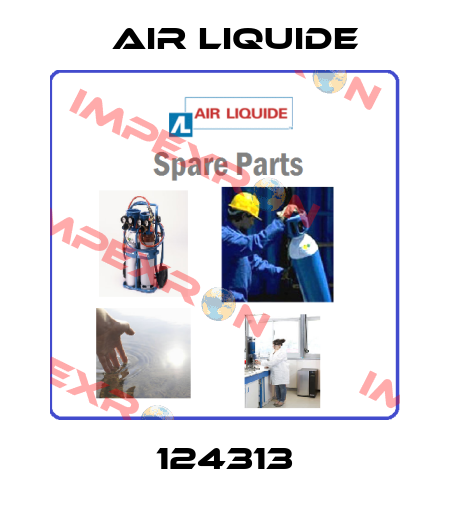 124313 Air Liquide