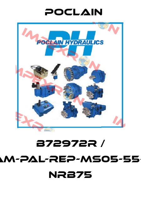B72972R / KITAM-PAL-REP-MS05-55-90- NRB75 Poclain