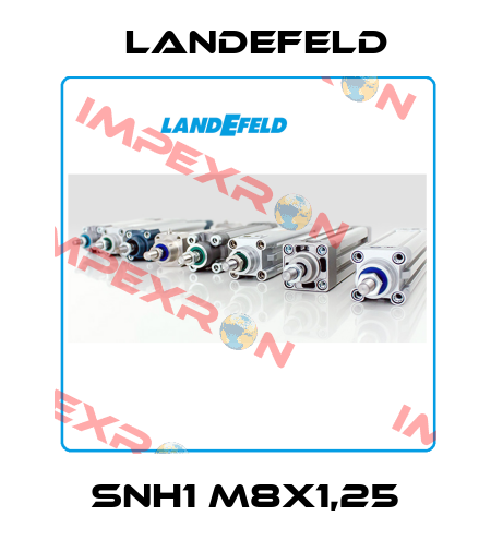 SNH1 M8X1,25 Landefeld