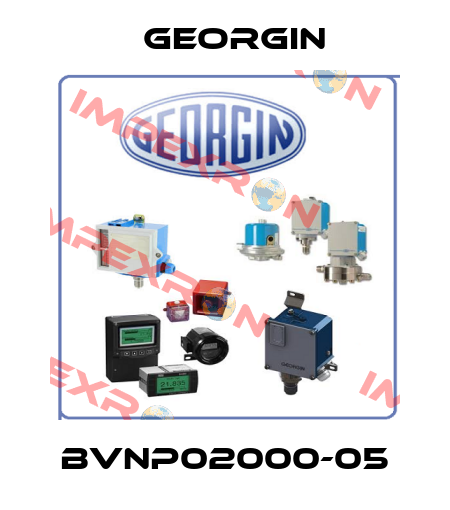 BVNP02000-05 Georgin