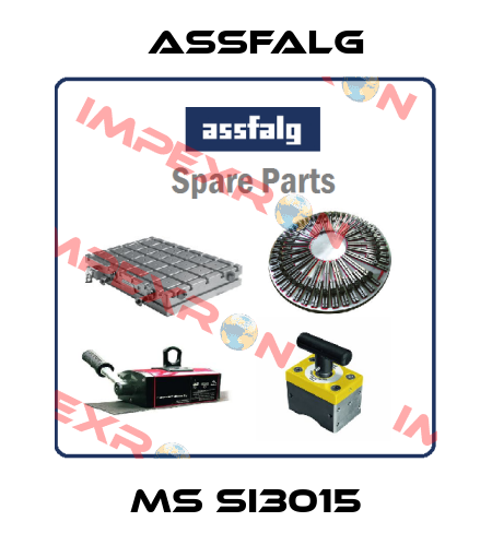 MS SI3015 Assfalg