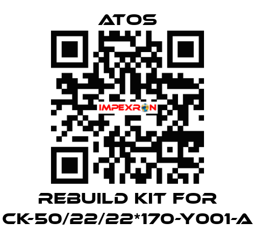 rebuild kit for CK-50/22/22*170-Y001-A Atos