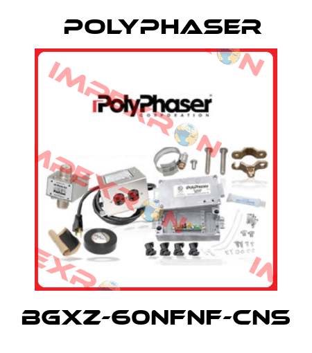 BGXZ-60NFNF-CNS Polyphaser