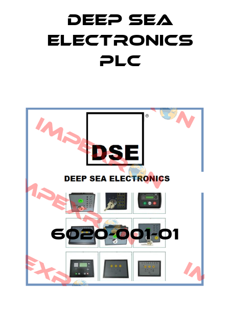 6020-001-01 DEEP SEA ELECTRONICS PLC