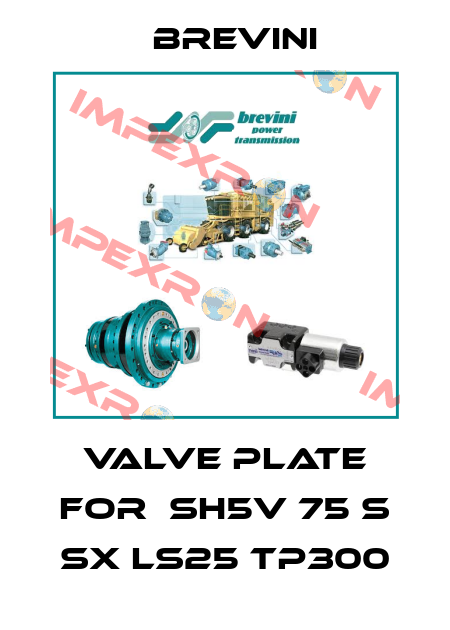 valve plate for  SH5V 75 S SX LS25 TP300 Brevini