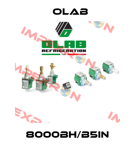 8000BH/B5IN Olab