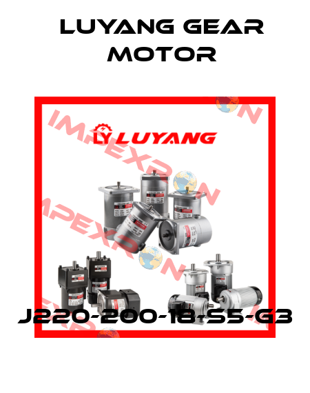 J220-200-18-S5-G3 Luyang Gear Motor