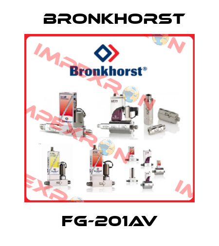 FG-201AV Bronkhorst