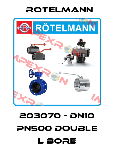 203070 - DN10 PN500 double L bore Rotelmann