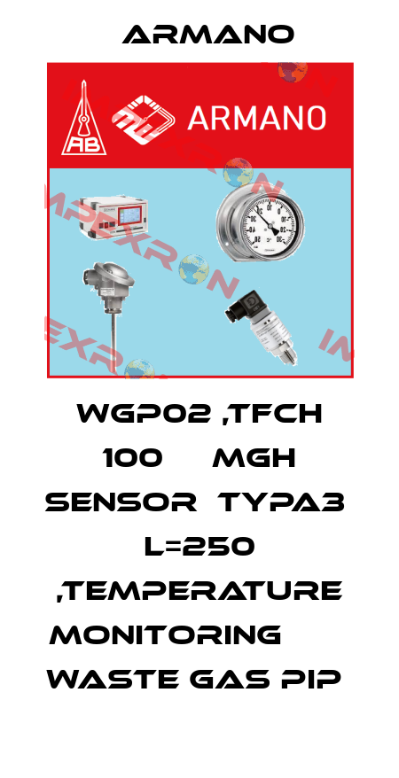WGP02 ,TFCH 100     MGH SENSOR  TYPA3  L=250 ,TEMPERATURE MONITORING                   WASTE GAS PIP  ARMANO