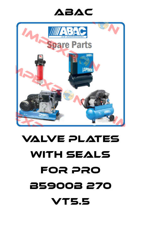 valve plates with seals for PRO B5900B 270 VT5.5 ABAC