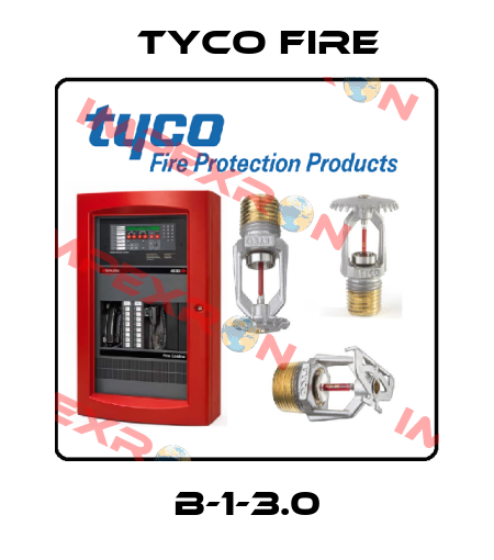 B-1-3.0 Tyco Fire