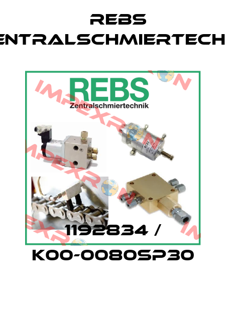 1192834 / K00-0080SP30 Rebs Zentralschmiertechnik