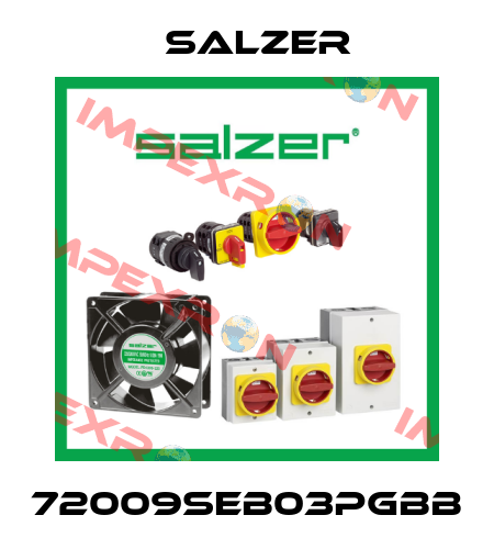 72009SEB03PGBB Salzer