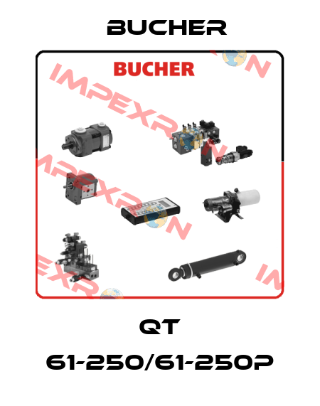 QT 61-250/61-250P Bucher