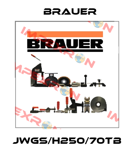JWGS/H250/70TB Brauer