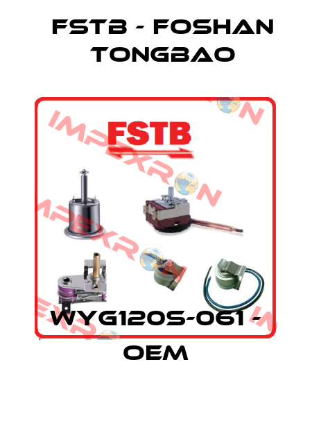 WYG120S-061 - OEM FSTB - Foshan Tongbao