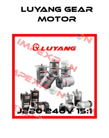 J220 240V 15:1 Luyang Gear Motor
