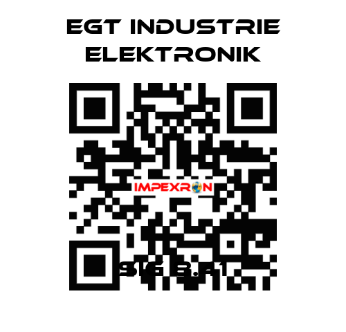 SIG 8.41 EGT Industrie elektronik