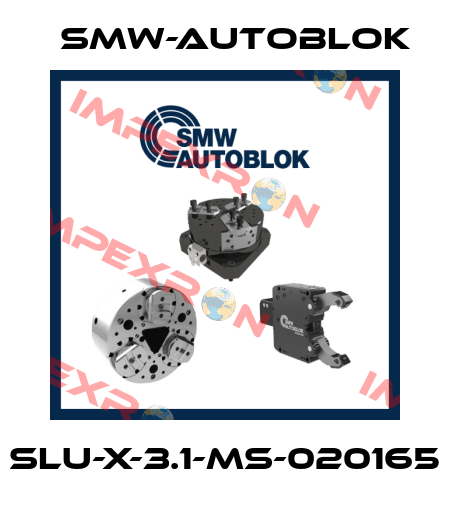 SLU-X-3.1-MS-020165 Smw-Autoblok