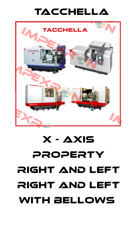 X - AXIS PROPERTY RIGHT AND LEFT RIGHT AND LEFT WITH BELLOWS  Tacchella