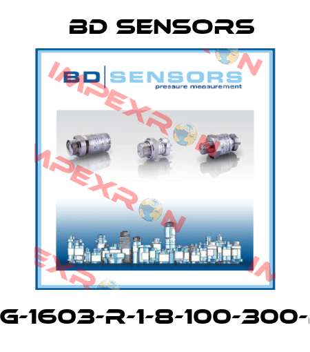 30.600G-1603-R-1-8-100-300-2-1-000 Bd Sensors