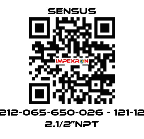 212-065-650-026 - 121-12 2.1/2”NPT Sensus