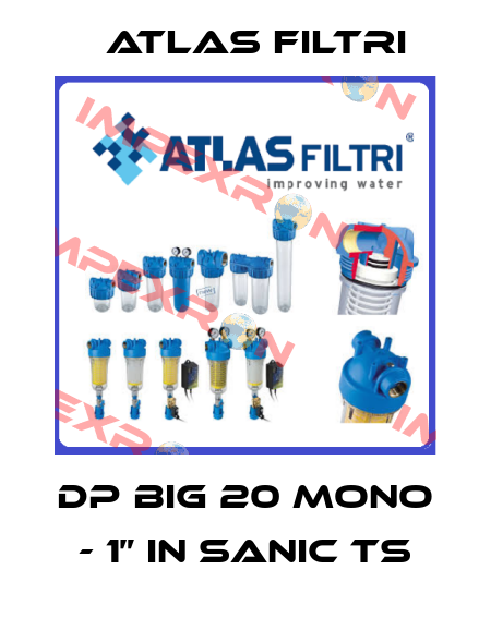 DP BIG 20 MONO - 1” IN SANIC TS Atlas Filtri