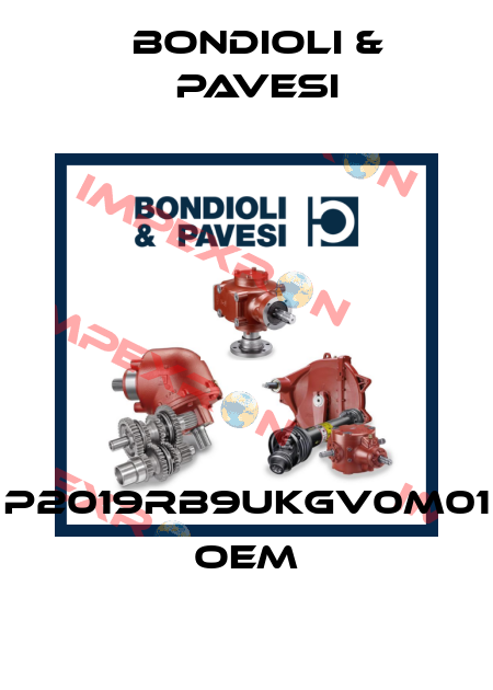 P2019RB9UKGV0M01 OEM Bondioli & Pavesi