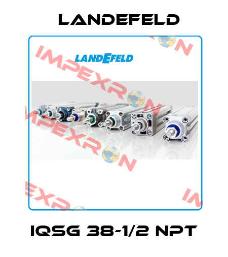 IQSG 38-1/2 NPT Landefeld